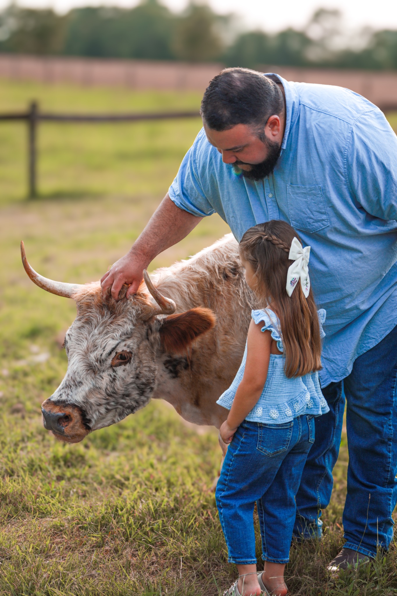 Adult and child petting a longhorn cow in a grassy pasture